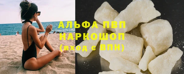 spice Аркадак