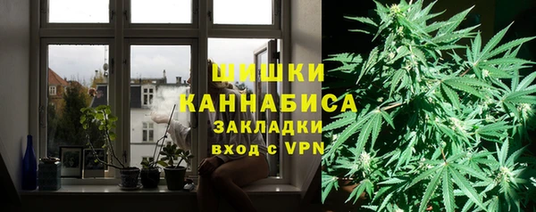 spice Аркадак