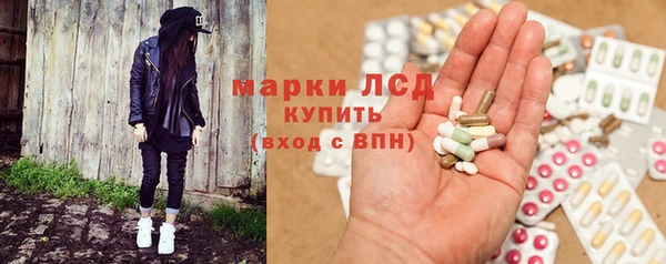 spice Аркадак